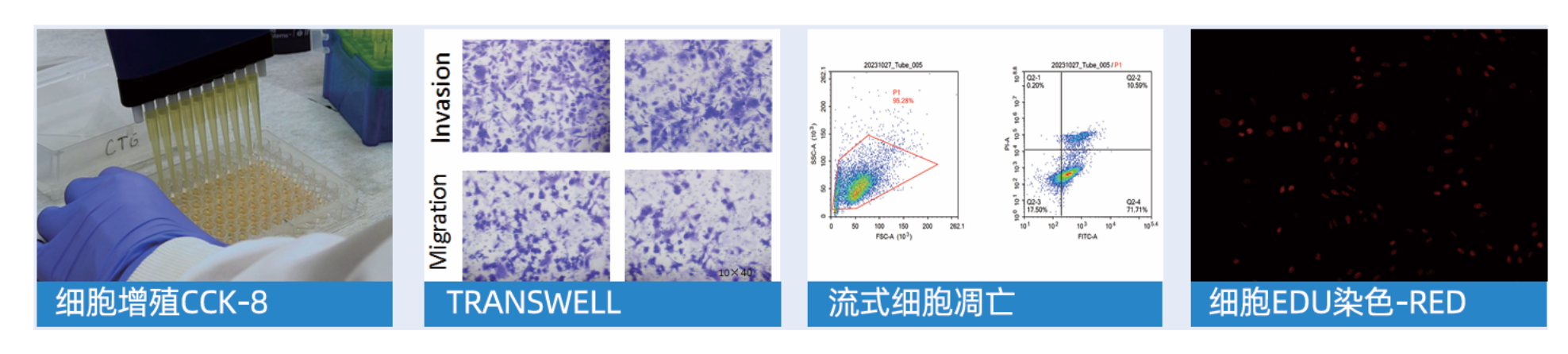 细胞案例_20260526171527.png